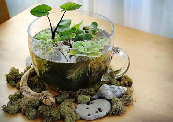 Cách trang trí ly thủy tinh, tận dụng ly thủy tinh cũ trong gia đình bạn.