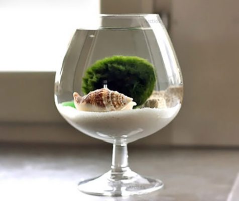 Cách trang trí ly thủy tinh, tận dụng ly thủy tinh cũ trong gia đình bạn.