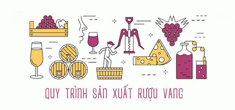 Quy Trình Sản Xuất Rượu Vang Nho