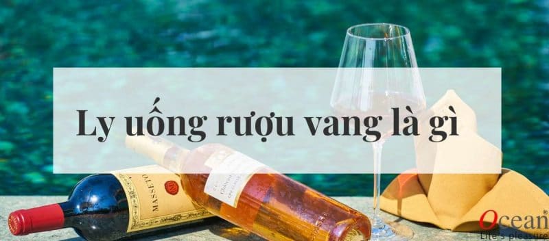 ly uống rượu vang là gì