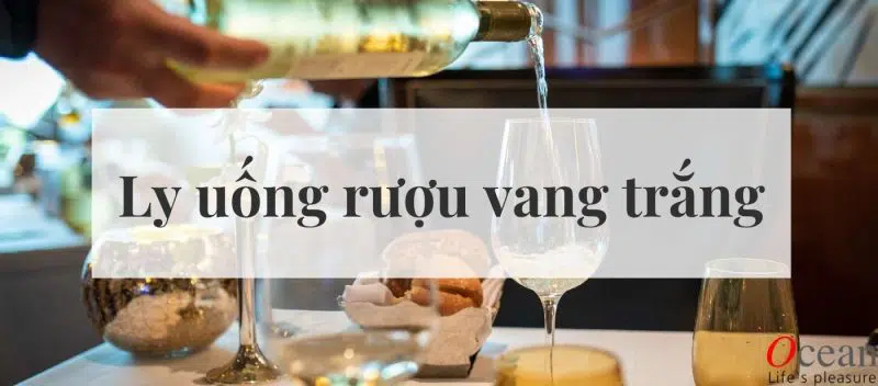2 Ly Vang Trắng DIVA WHITE WINE 200ml | Thủy Tinh Ocean