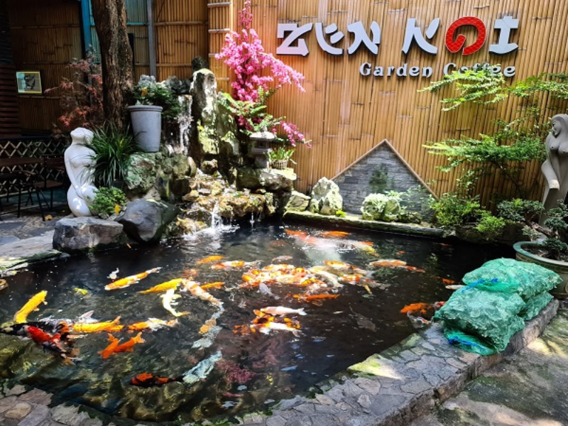 Relax với 12+ quán cà phê cá Koi tại Sài Gòn