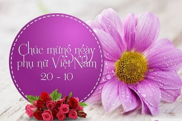 Bộ Hình Ảnh Thiệp 2010 Đẹp Nhất 2024